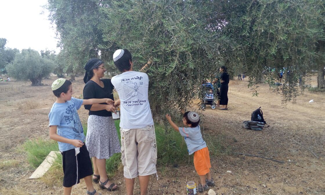 משפחות מוסקות ונהנות (קרדיט צילום: יח